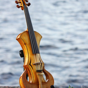 SIA Violin-D